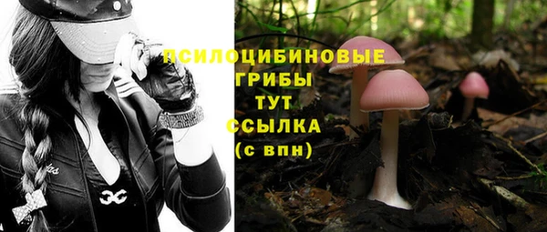 jwh Карпинск