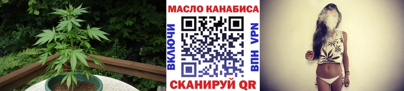 Купить закладки  Волосово  ТГК вейп с тгк 
