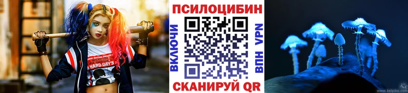 Купить где  Волосово  Псилоцибиновые грибы мицелий 