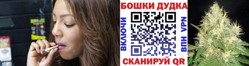 Конопля сатива Волосово